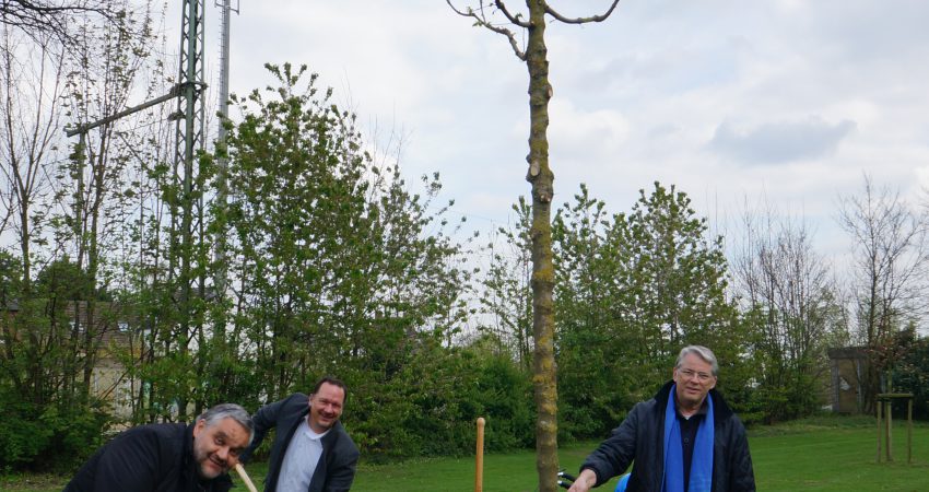 Tag-des-Baums_Oliver-Keymis-und-Gruene-spenden-Baum