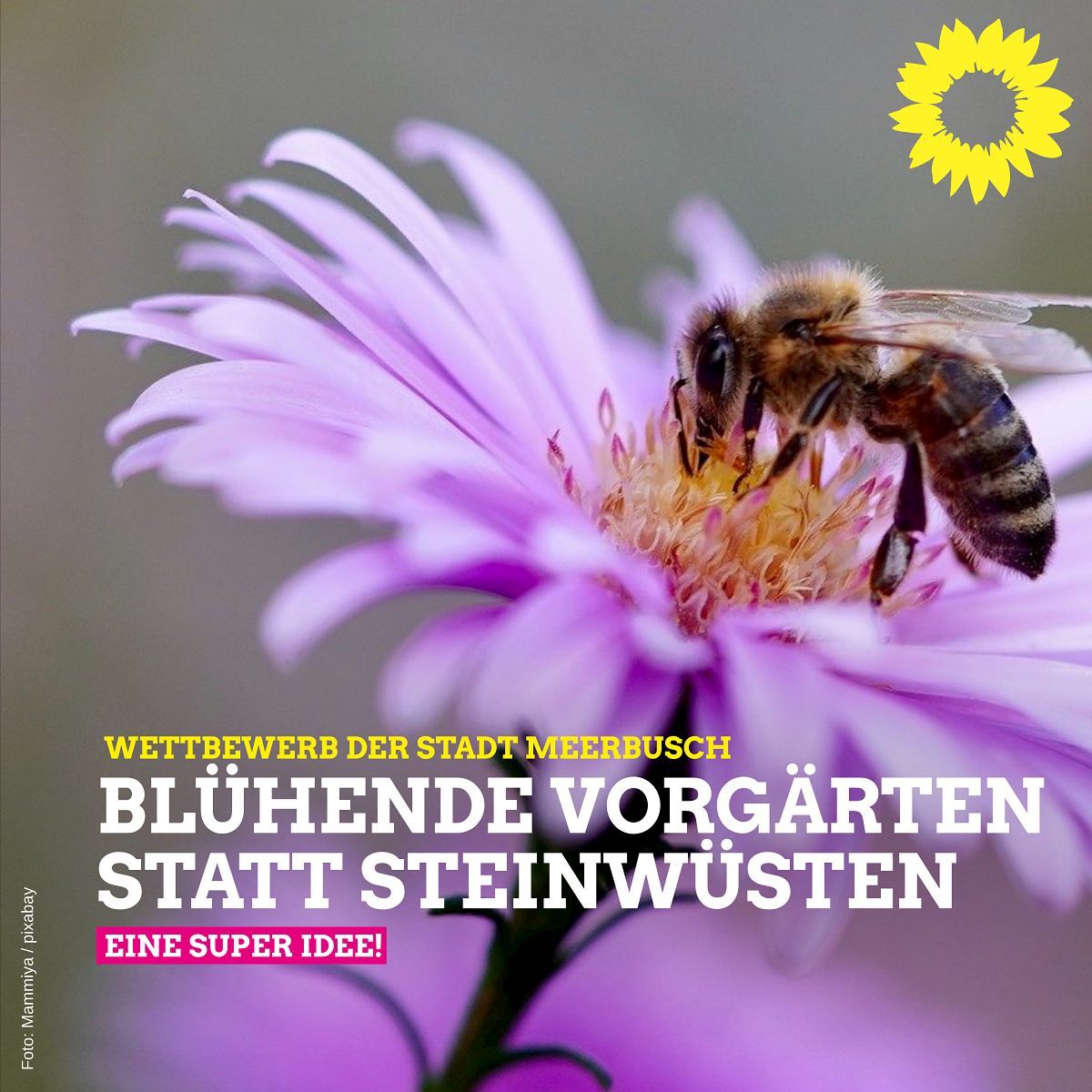 Wettbewerb „Meerbuschs Vorgärten des Jahres“