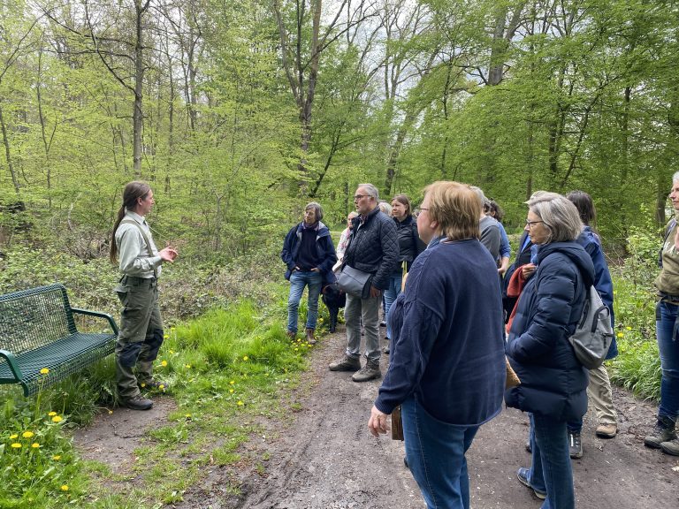 Bericht vom Waldspaziergang mit unserem Förster