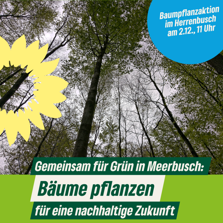 60 Bäume für den Herrenbusch – wer packt mit an?
