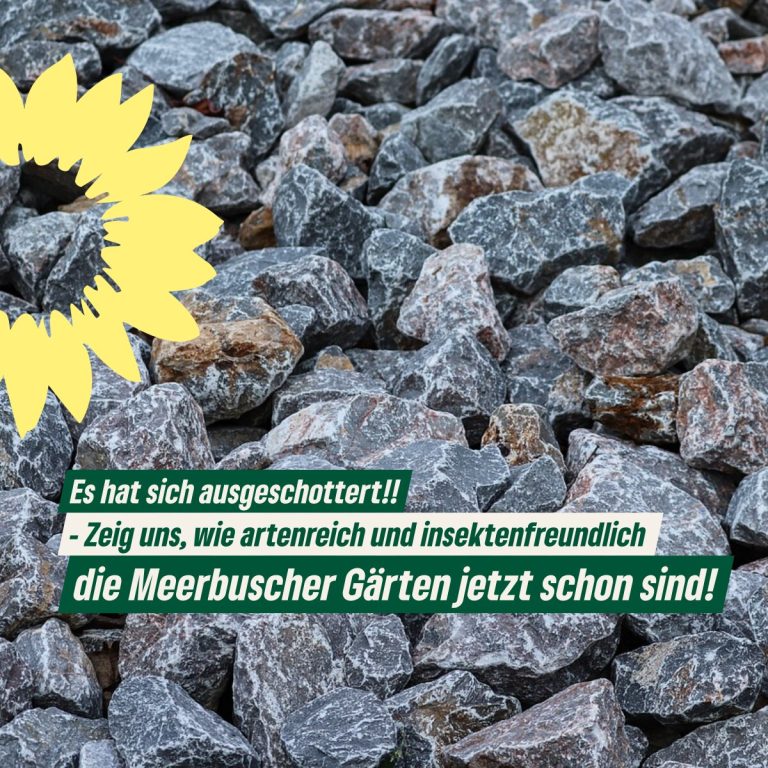 Schottergärten? Kunstrasen? Das können wir Meerbuscher besser!