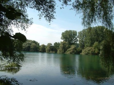 Latumer See in Meerbusch