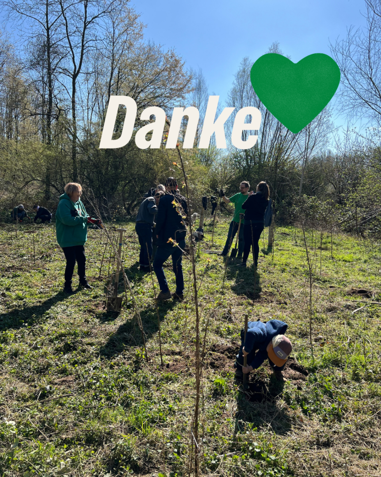 100 neue Bäume – vielen Dank!